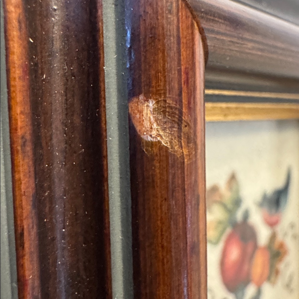 Theorem Painting by Jean Henry Framed Mini Fruit & Bird Artwork - Picture 6 of 6